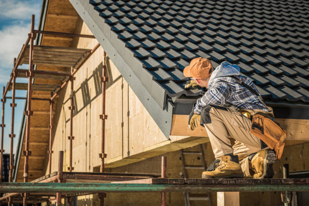 Best Roof Ventilation Installation  in Water Valley, MS