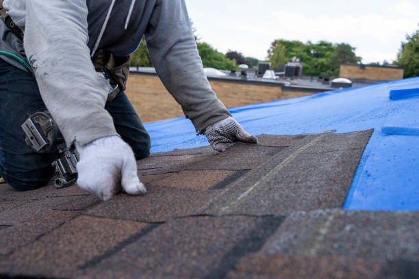Best Roof Insulation Installation  in Water Valley, MS